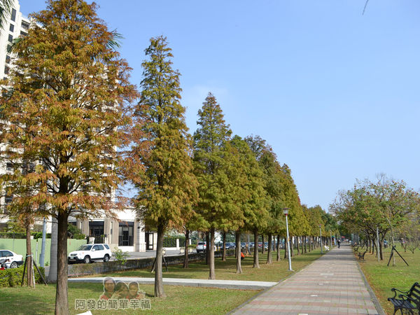 玉山公園14-尾段步道上一景