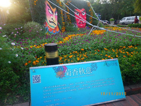 2012士林官邸菊花展：2013 士林官邸菊花展【菊世無雙】