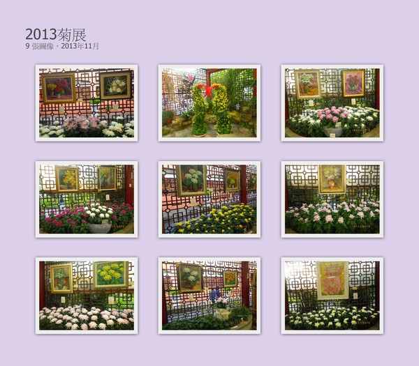 2012士林官邸菊花展：2013 士林官邸菊花展【菊世無雙】