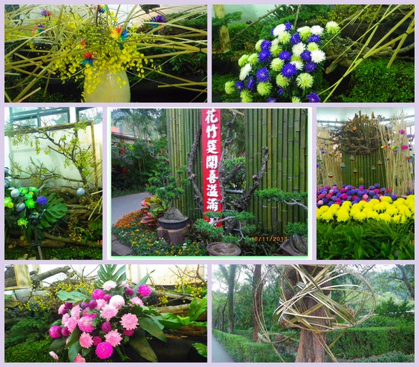 2012士林官邸菊花展：2013 士林官邸菊花展【菊世無雙】