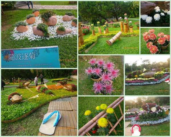 2012士林官邸菊花展：2013 士林官邸菊花展【菊世無雙】