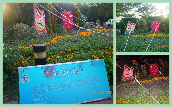 2012士林官邸菊花展：2013 士林官邸菊花展【菊世無雙】