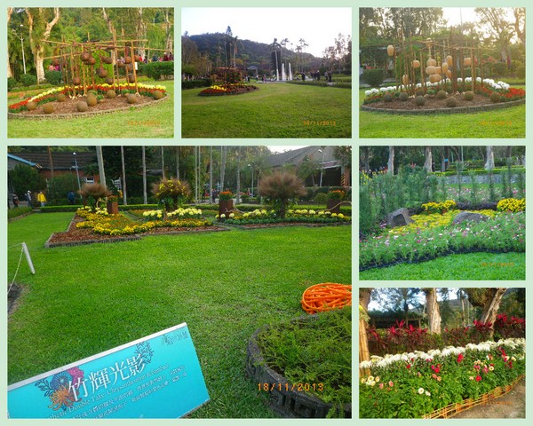 2012士林官邸菊花展：2013 士林官邸菊花展【菊世無雙】