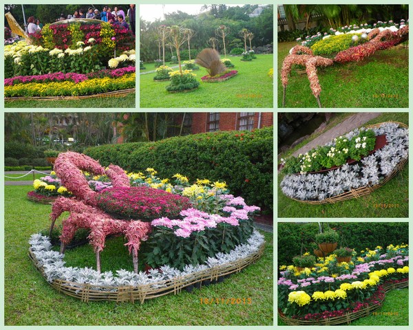 2012士林官邸菊花展：2013 士林官邸菊花展【菊世無雙】