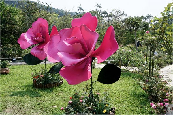 士林官邸：[閃點]台北 士林官邸~好花好樹好放閃