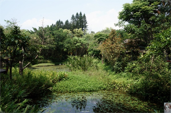 士林官邸：[閃點]台北 士林官邸~好花好樹好放閃