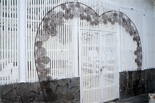 士林官邸：[閃點]台北 士林官邸~好花好樹好放閃