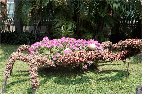 士林官邸：[閃點]台北 士林官邸~好花好樹好放閃