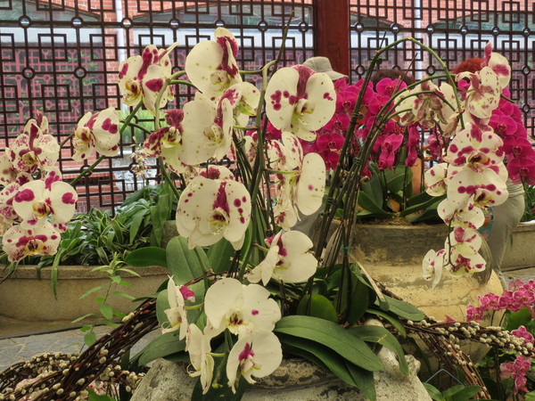 士林官邸:"士林官邸":奼紫嫣紅賞花趣