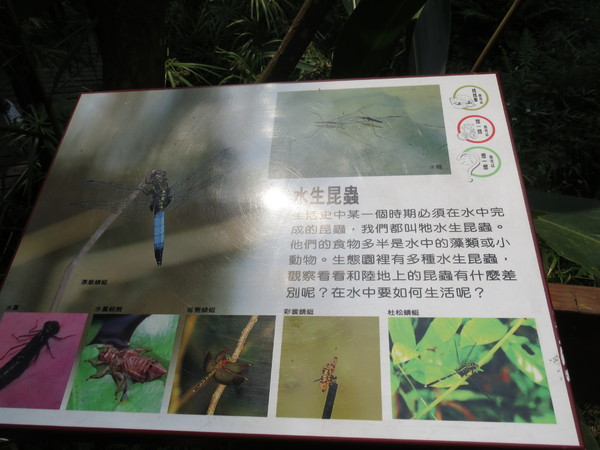 士林官邸:"士林官邸":奼紫嫣紅賞花趣