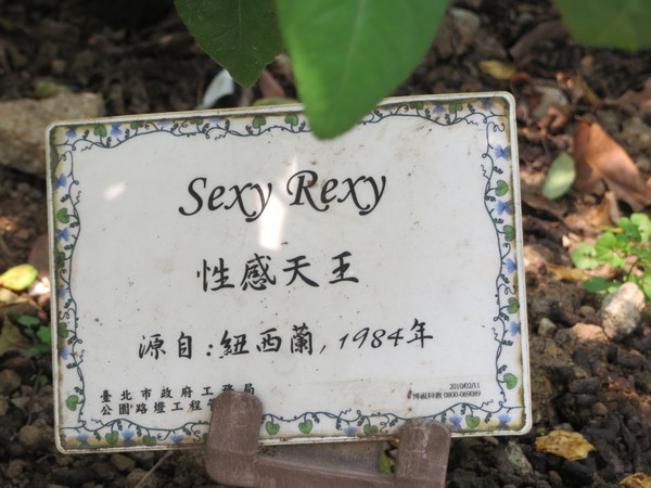 士林官邸:"士林官邸":奼紫嫣紅賞花趣