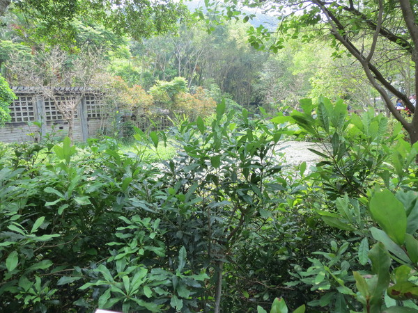 士林官邸:"士林官邸":奼紫嫣紅賞花趣