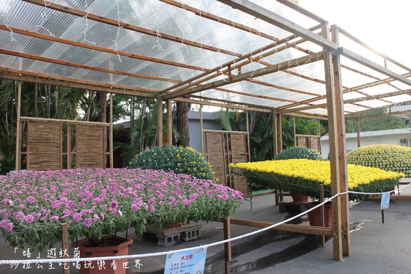 2015士林官邸菊花展：2015士林官邸菊花展『嬉遊秋菊』內含士林、劍潭捷運站週邊美食