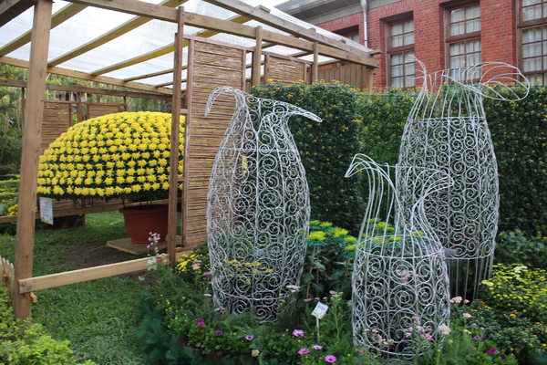 2015士林官邸菊花展：2015士林官邸菊花展『嬉遊秋菊』內含士林、劍潭捷運站週邊美食