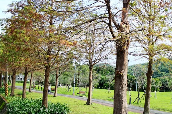 2016樂活熊城市嘉年華：台北免費展覽『2015樂活熊城市嘉年華』士林官邸賞梅/落羽松/士林捷運站