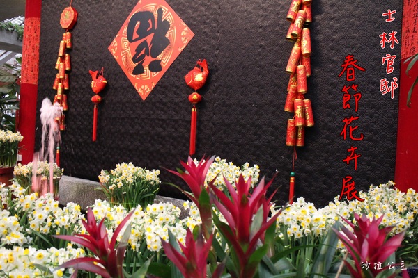 士林官邸:士林官邸『園藝展覽館』士林捷運站/水仙花/落羽松