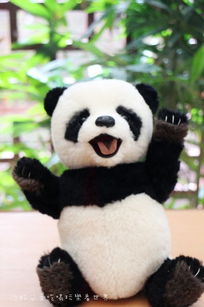 2016樂活熊城市嘉年華：台北免費展覽『2015樂活熊城市嘉年華』士林官邸賞梅/落羽松/士林捷運站