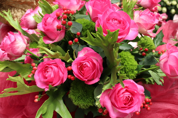 2015玫瑰花展：春日微旅行「2015玫瑰花展」(4/1~4/12)士林官邸/士林捷運站