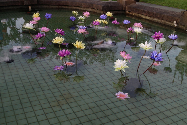 2015士林官邸菊花展：2015士林官邸菊花展『嬉遊秋菊』內含士林、劍潭捷運站週邊美食