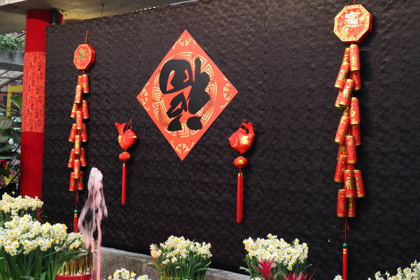 士林官邸:士林官邸『園藝展覽館』士林捷運站/水仙花/落羽松