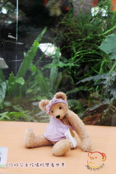 2016樂活熊城市嘉年華：台北免費展覽『2015樂活熊城市嘉年華』士林官邸賞梅/落羽松/士林捷運站