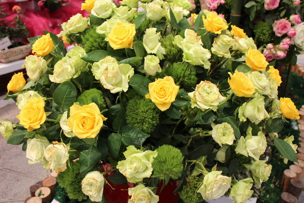 2015玫瑰花展：春日微旅行「2015玫瑰花展」(4/1~4/12)士林官邸/士林捷運站