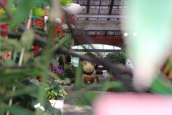 2015士林官邸菊花展：2015士林官邸菊花展『嬉遊秋菊』內含士林、劍潭捷運站週邊美食