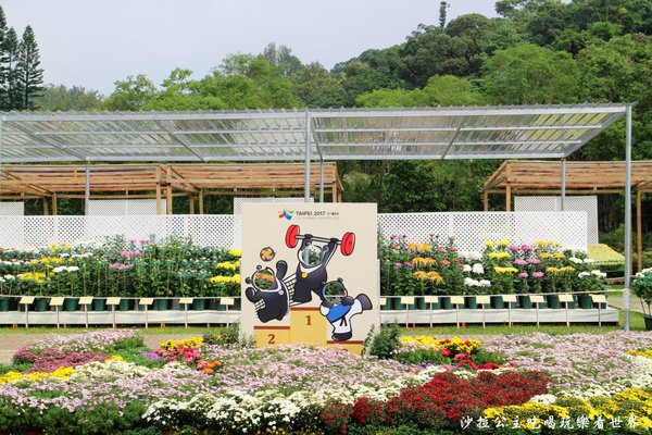 菊世聞名：2016士林官邸菊展『菊世聞名』捷運士林站