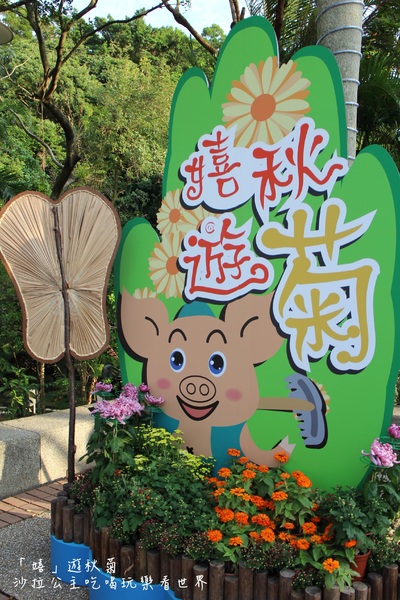 2015士林官邸菊花展：2015士林官邸菊花展『嬉遊秋菊』內含士林、劍潭捷運站週邊美食