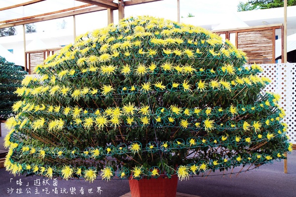 2015士林官邸菊花展：2015士林官邸菊花展『嬉遊秋菊』內含士林、劍潭捷運站週邊美食