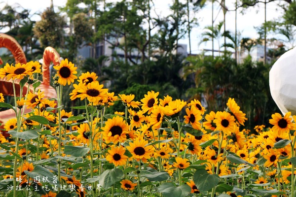 2015士林官邸菊花展：2015士林官邸菊花展『嬉遊秋菊』內含士林、劍潭捷運站週邊美食