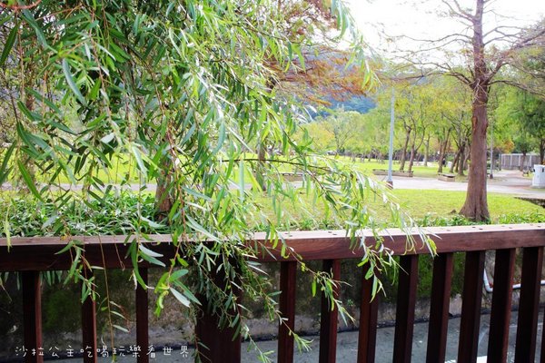 2016樂活熊城市嘉年華：台北免費展覽『2015樂活熊城市嘉年華』士林官邸賞梅/落羽松/士林捷運站