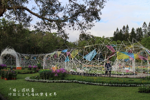 2015士林官邸菊花展：2015士林官邸菊花展『嬉遊秋菊』內含士林、劍潭捷運站週邊美食