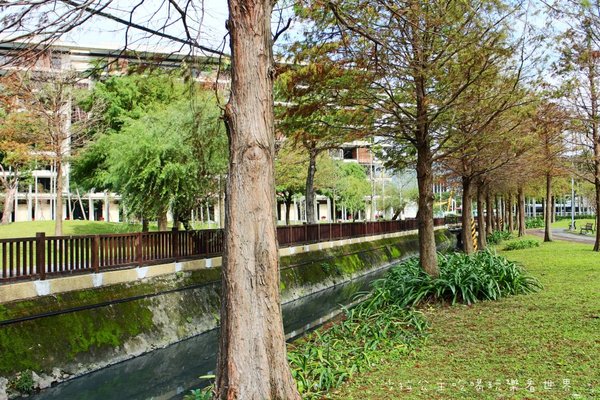 2016樂活熊城市嘉年華：台北免費展覽『2015樂活熊城市嘉年華』士林官邸賞梅/落羽松/士林捷運站