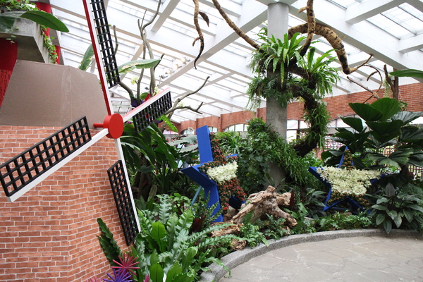 士林官邸:士林官邸『園藝展覽館』士林捷運站/水仙花/落羽松