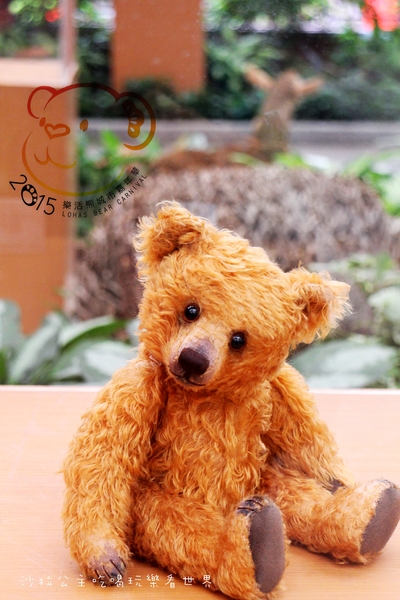 2016樂活熊城市嘉年華：台北免費展覽『2015樂活熊城市嘉年華』士林官邸賞梅/落羽松/士林捷運站