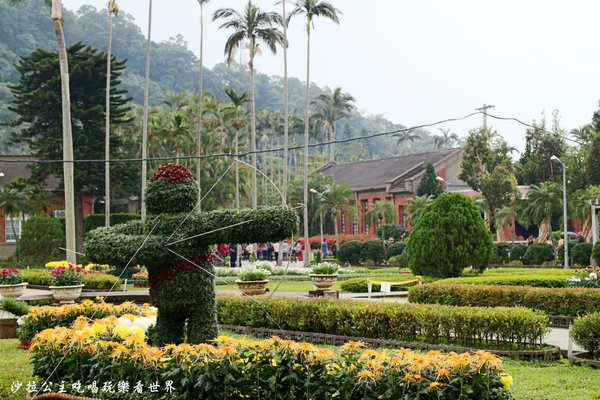 菊世聞名：2016士林官邸菊展『菊世聞名』捷運士林站