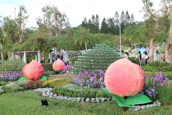 2015士林官邸菊花展：2015士林官邸菊花展『嬉遊秋菊』內含士林、劍潭捷運站週邊美食