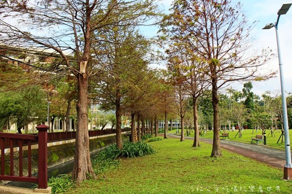 2016樂活熊城市嘉年華：台北免費展覽『2015樂活熊城市嘉年華』士林官邸賞梅/落羽松/士林捷運站