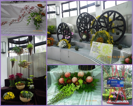 士林官邸公園：2010菊宴台北城