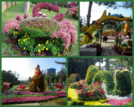 士林官邸公園：2010菊宴台北城