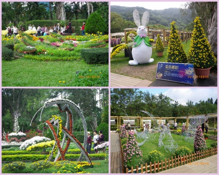 士林官邸公園：2010菊宴台北城