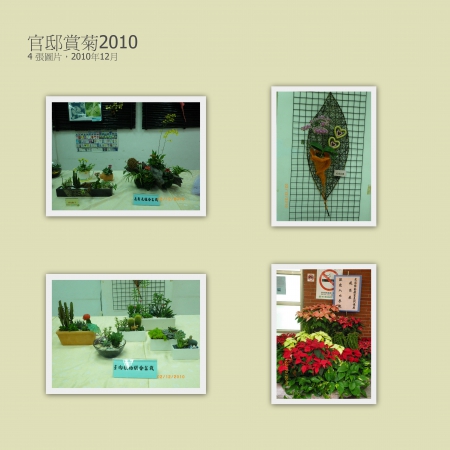 士林官邸公園：2010菊宴台北城