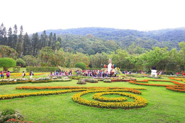 【台北旅遊】2016士林官邸菊展-美麗的菊花展
