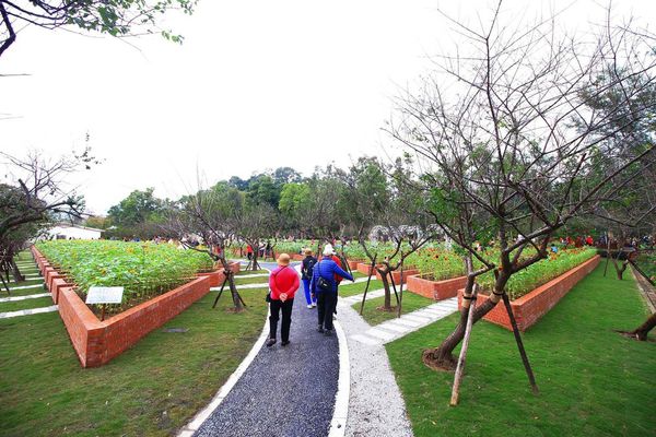 【台北旅遊】2016士林官邸菊展-美麗的菊花展