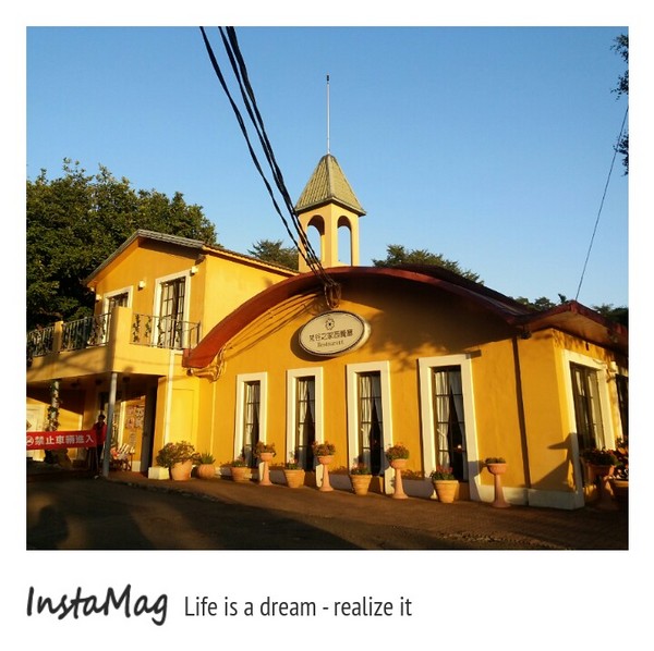 大溪花海農場：【桃園景點】大溪花海農場