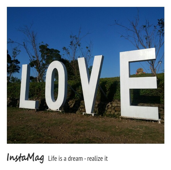 大溪花海農場：【桃園景點】大溪花海農場