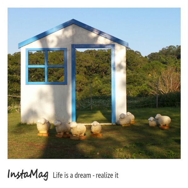 大溪花海農場：【桃園景點】大溪花海農場