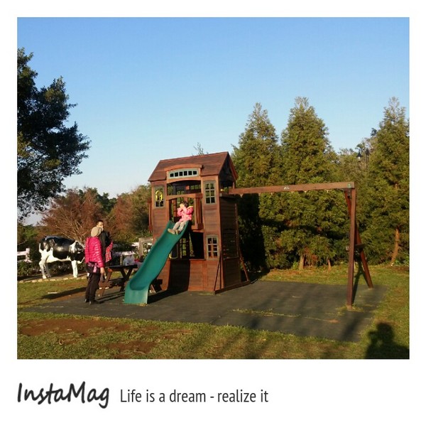 大溪花海農場：【桃園景點】大溪花海農場