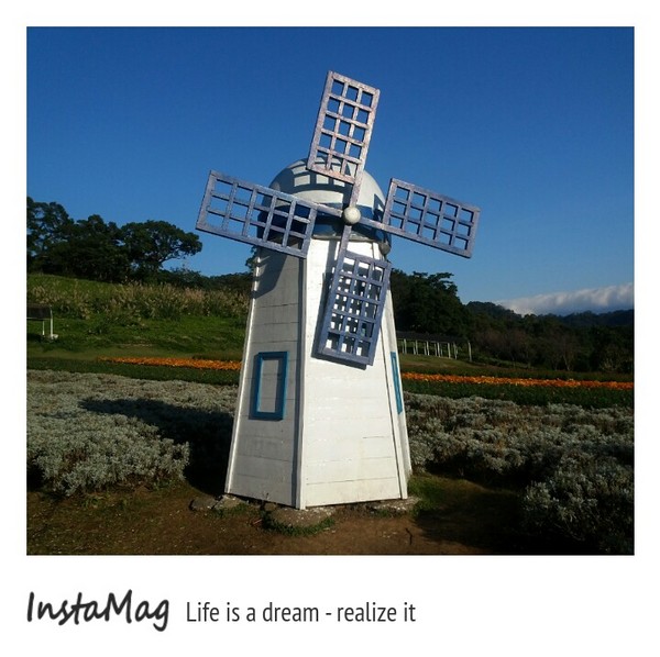 大溪花海農場：【桃園景點】大溪花海農場